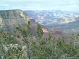 img012.jpeg.small.jpeg